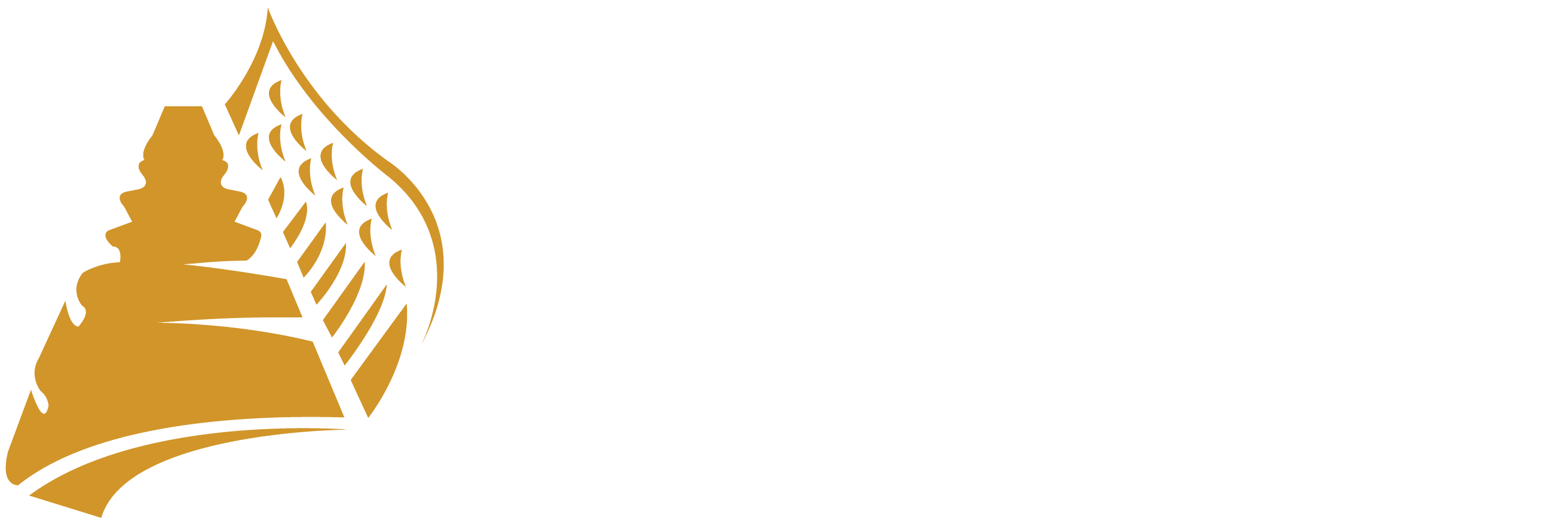 Contact Us Air Cambodia Proudly The National Flag Carrier contact-us-air-cambodia-proudly-the-national-flag-carrier